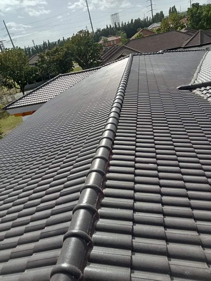 Concrete roof tiles with ridge cap in a residential subdivision